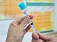 O CARRETEIRO - Febre amarela: motoristas devem se vacinar contra a doença