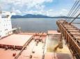 Nova Ponte entre PR e MS pode restabelecer protagonismo de portos na exportação de soja
