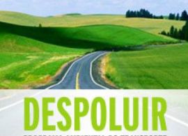 DESPOLUIR – Programa Ambiental do Transporte