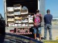 CNT - Média de 30 casos de roubos de carga são registrados por dia no RJ