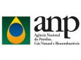 CNT - ANP abre consulta pública sobre reajuste dos combustíveis
