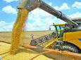 O PRESENTE - Brasil pode colher até 238 milhões de toneladas de grãos na safra 2018/19