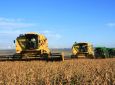 AEN - Paraná confirma produção de 23 milhões de toneladas de grãos
