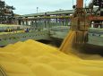 AEN - Portos do Paraná já movimentaram 19,7 milhões de toneladas