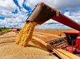 AB - Conab estima safra recorde de grãos para safra 2018/2019