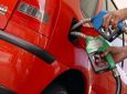 GP - Mistura de 27% de etanol à gasolina no Brasil é recorde no mundo