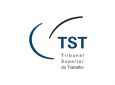 FETCESP - Setor de transporte participa de audiência pública do TST