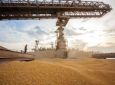 AEN - Porto de Paranaguá confirma recorde nas exportações de grãos