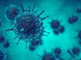 MINISTÉRIO DA ECONOMIA - OMS recomenda prevenção contra coronavírus