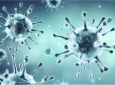 SEST SENAT - Novo coronavírus: atualização sobre suspensão de atividades em unidades do SEST SENAT
