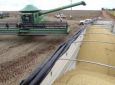 AB - Safra de grãos deve ser 4,2% superior à produção de 2019, diz ibge