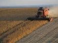 REUTERS - Paraná tem menos lavouras de soja em bom estado