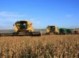 CBN - Índice de confiança do agronegócio bate recorde histórico