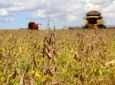 CBN - Conab revê estimativa da safra de grãos 2020/2021