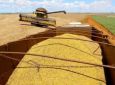 BAND NEWS – Impactado pela estiagem, Paraná deve produzir menos nesta safra de grãos, aponta Deral