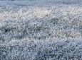 AGROLINK - Inverno inicia oficialmente nesta segunda-feira (21)