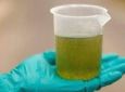 UOL - Resolução cria grupo de trabalho para analisar mistura do biodiesel ao óleo diesel