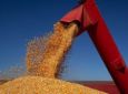 AB - IBGE prevê safra recorde de grãos em 2022