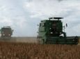 AGROLINK - PR tem colheita de soja mais avançada que em 20/21