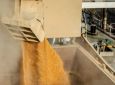 Porto de Paranaguá aumenta 161% a exportação de milho