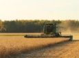 RECORDE: safra de grãos deve chegar a 312,4 milhões de toneladas
