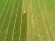 Com foco em tecnologia e bem-estar social, agronegócio brasileiro consegue crescer e superar crises