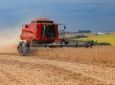 Produção de grãos deve crescer 36,8% nos próximos dez anos