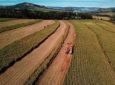 Agro, com safra recorde, prevê desastre no transporte com falta de rodovias