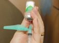 Vacina da gripe é liberada para todos com mais de seis meses; medida começa nesta segunda-feira