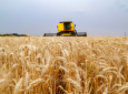 Com produção menor, exportações de trigo devem aumentar em 2024