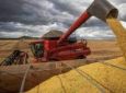 Safras reduz previsão de exportação de soja do Brasil em 2024; colheita vai a quase 30%