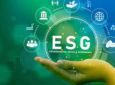 Workshop em ESG