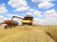 Paraná apresenta modelo pioneiro de “Plano Safra estadual” para outros estados