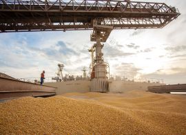AEN - Porto de Paranaguá confirma recorde nas exportações de grãos