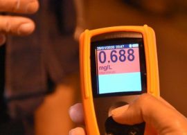 CNB - A uma semana do Carnaval, PRF flagra 56 motoristas embriagados no Paraná