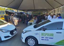 Despoluir celebra Dia Mundial do Meio Ambiente