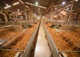 GAZETA DO SUL - Os cinco caminhos que mostram a retomada da economia