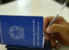 Artigo sobre a Lei 14.020 de 06/07/2020 – Programa Emergencial do Emprego e da Renda