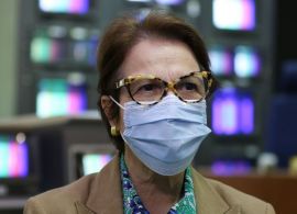 EBC - Agronegócio ajudou a segurar PIB durante a pandemia, diz ministra