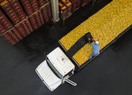 FOLHA DE SP - Quarentena afeta exportação de frutas e expõe gargalos logísticos do setor no Brasil
