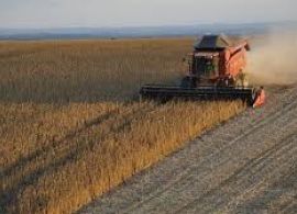 AGROLINK - Safra de grãos de verão deve somar 23,9 milhões de toneladas