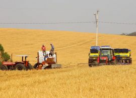 CBN - Safra de soja deverá ser superior ao ano passado