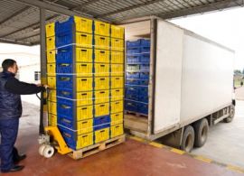 Prestação de serviços de transporte e distribuição - Pregão Presencial nº 10/2021 - IDR PARANÁ