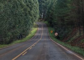 DER publica edital de conservação das rodovias estaduais do Anel de Integração