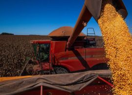 CBN - Fatores climáticos reduziram a estimativa da safra brasileira de 2021