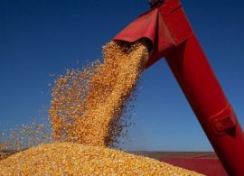 AB - IBGE prevê safra recorde de grãos em 2022