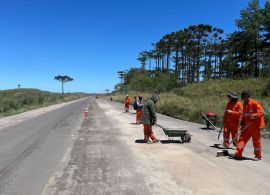 AEN - Obras da restauração em concreto avançam na PRC-280, principal corredor do Sudoeste