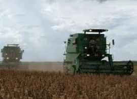 AGROLINK - PR tem colheita de soja mais avançada que em 20/21
