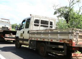 Sem pedágio, serviço público de guincho nas estradas deve começar em fevereiro