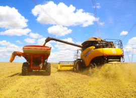 Agronegócio responde por 80% das exportações paranaenses, aponta documento do Deral